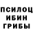Галлюциногенные грибы Magic Shrooms Daniil Vodolahenko