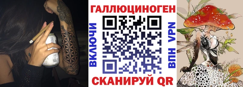 Псилоцибиновые грибы GOLDEN TEACHER  Купить закладки  Клин 